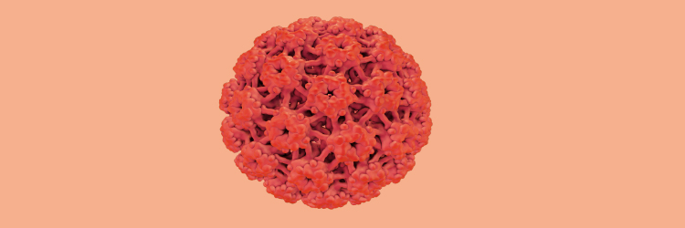 Enfermedades transmisión sexual: Qué es el Virus del Papiloma Humano y cómo abordarlo