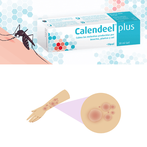 HEEL Calendeel Plus GEL (30ml)