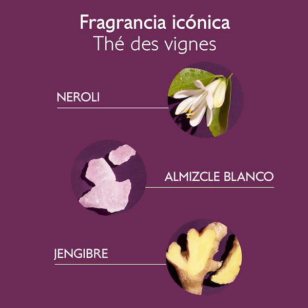 CAUDALIE CHAMPÚ SUAVE TRATANTE (200ML)