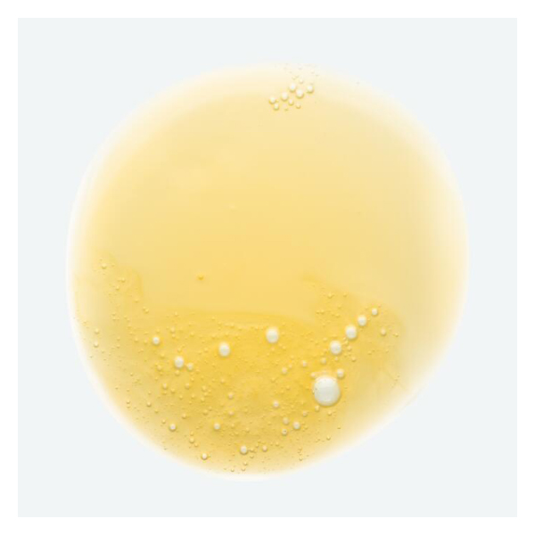 KLORANE Champú al Mango (400ml)