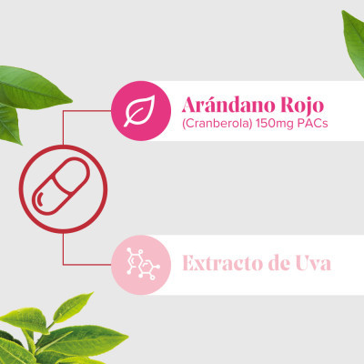 ARKOPHARMA CIS-CONTROL® CRANBEROLA (60caps) 