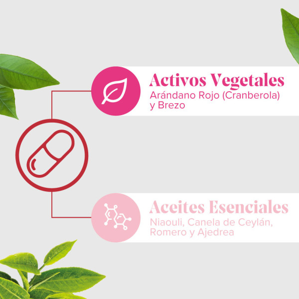 ARKOPHARMA CIS-CONTROL FLASH (20 CÁPSULAS)