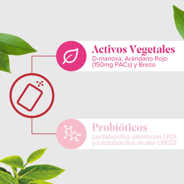 ARKOPHARMA CIS-CONTROL® STOP (15 SOBRES)