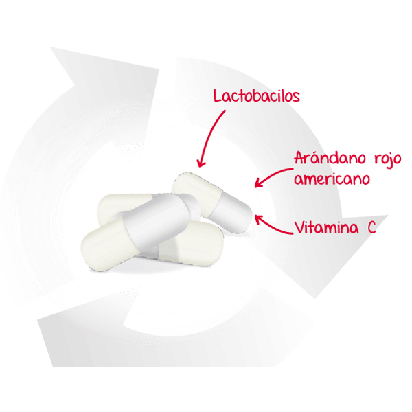 LACTOFLORA CISCARE PROBIOTICO PROTECCIÓN URINARIA (15 CÁPSULAS)