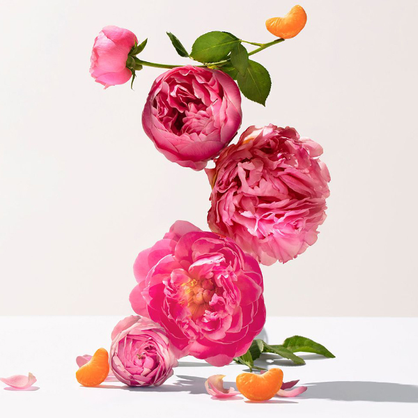 ROGER&GALLET ROSE COFRE JABONES  (3 JABONES X 100G)