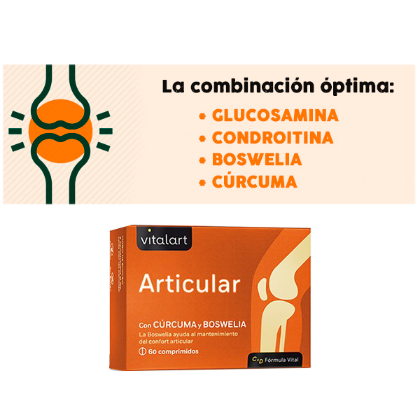 VITALART CÚRCUMA COMPLEX (30comp)