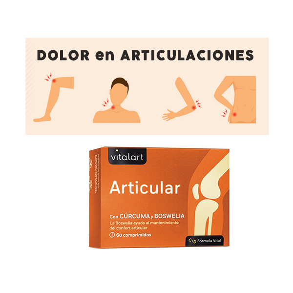 VITALART CÚRCUMA COMPLEX (30comp)