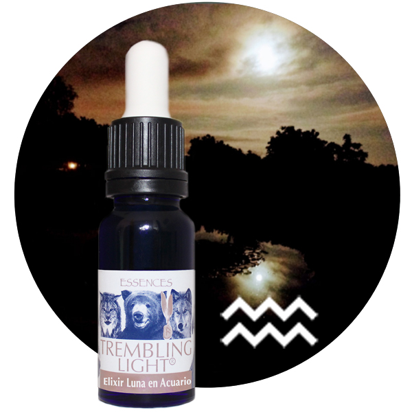TREMBLING LIGHT ELIXIR LUNA EN ACUARIO (15ML)