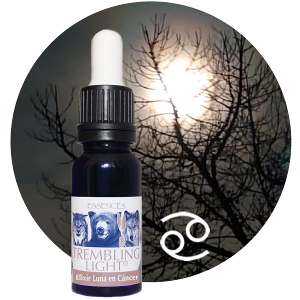 TREMBLING LIGHT ELIXIR LUNA EN CANCER (15ML)
