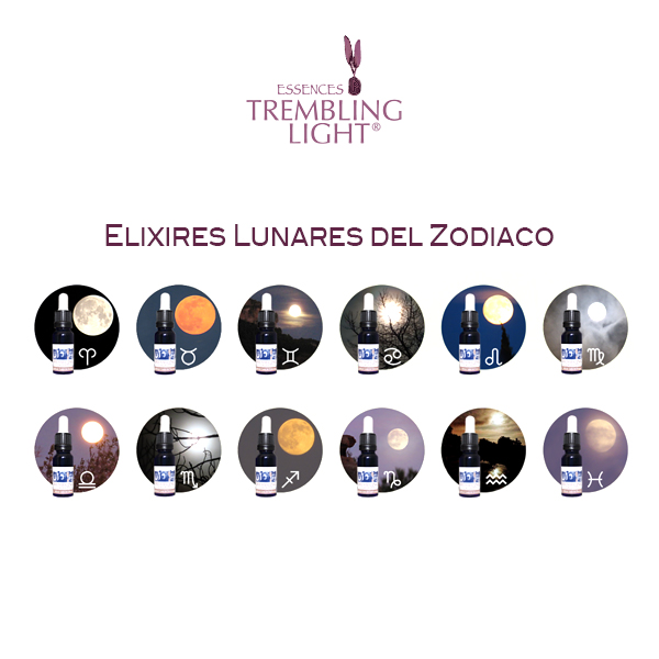 TREMBLING LIGHT ELIXIR LUNA EN ESCORPIO (15ML)