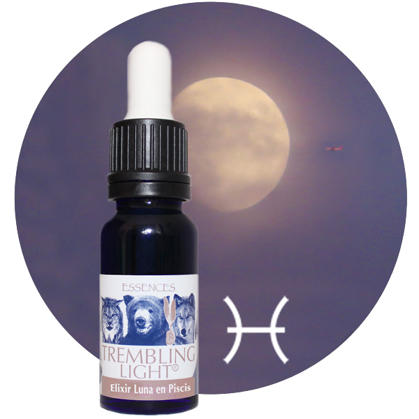 TREMBLING LIGHT ELIXIR LUNA EN PISCIS (15ML)