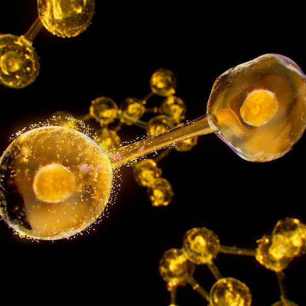 ESTHEDERM EXCELLAGE ACEITE DE NOCHE REGENERADOR (30ML)