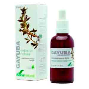 Extracto de Gayuba (50ml)