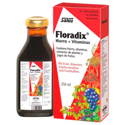 Floradix Jarabe Aporte de Hierro (250ml)