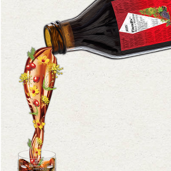 SALUS FLORADIX HIERRO Y VITAMINAS (500ML)