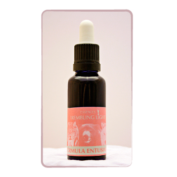 FÓRMULA ENTUSIASMO (30ml)