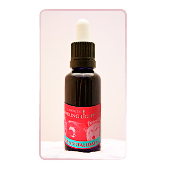 FÓRMULA VITALIDAD (30ml)