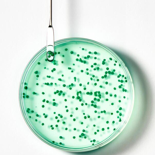 RENÉ FURTERER FORTICEA CHAMPÚ FORTIFICANTE REVITALIZANTE (200ml) 