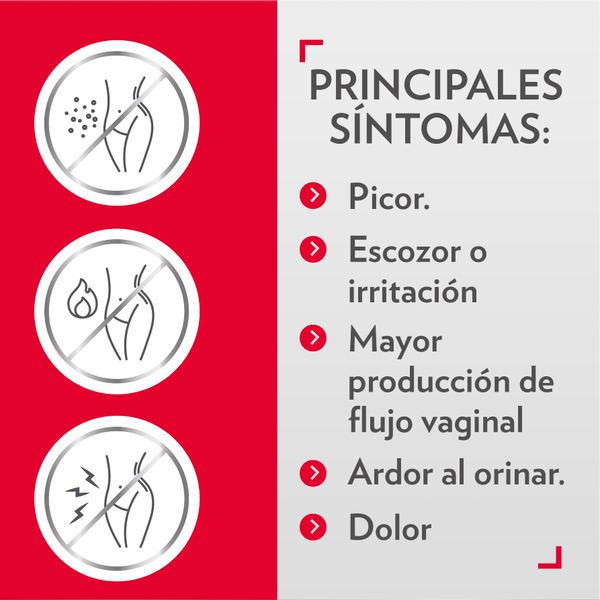 BAYER - MEDICAMENTOS Gine-Canestén® 100mg (6 comp.vaginales + aplicador)