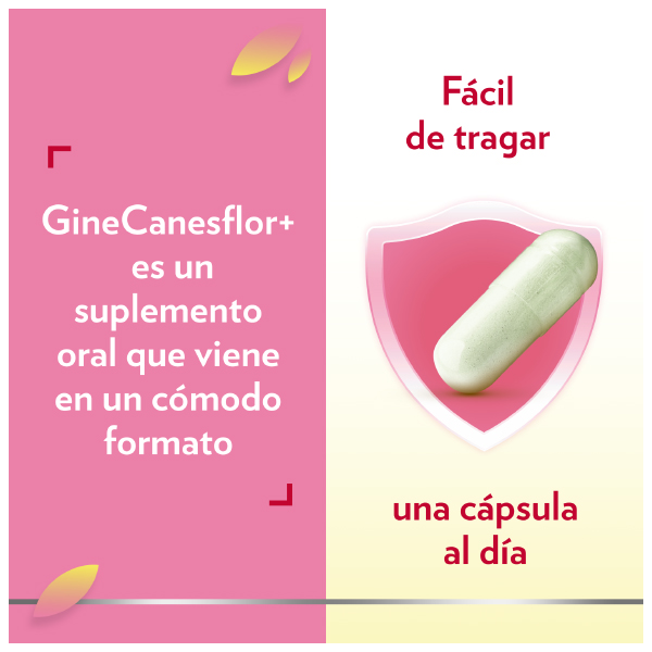 BAYER GINECANESFLOR (30 CÁPSULAS VEGETALES)