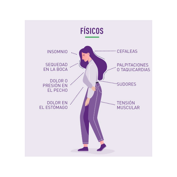 LASEA ACEITE ESENCIAL DE LAVANDA 80MG (56 COMPRIMIDOS)