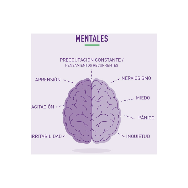 LASEA ACEITE ESENCIAL DE LAVANDA 80MG (28 CAPS. BLANDAS)
