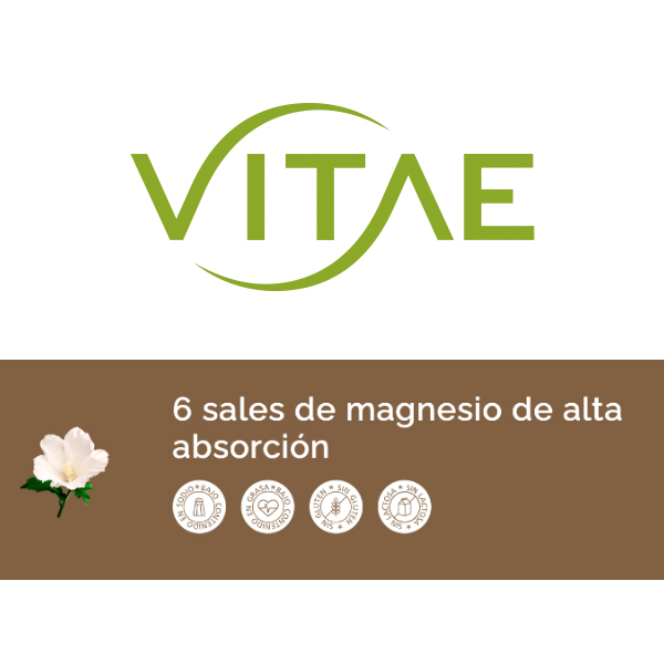 VITAE MAGNESIUM6 (10 COMPRIMIDOS)