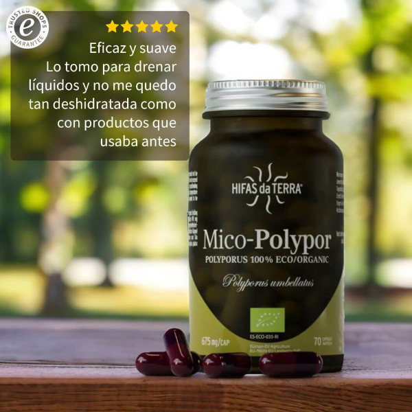 HIFAS DA TERRA MICO POLYPOR  (70 cápsulas 628mg)