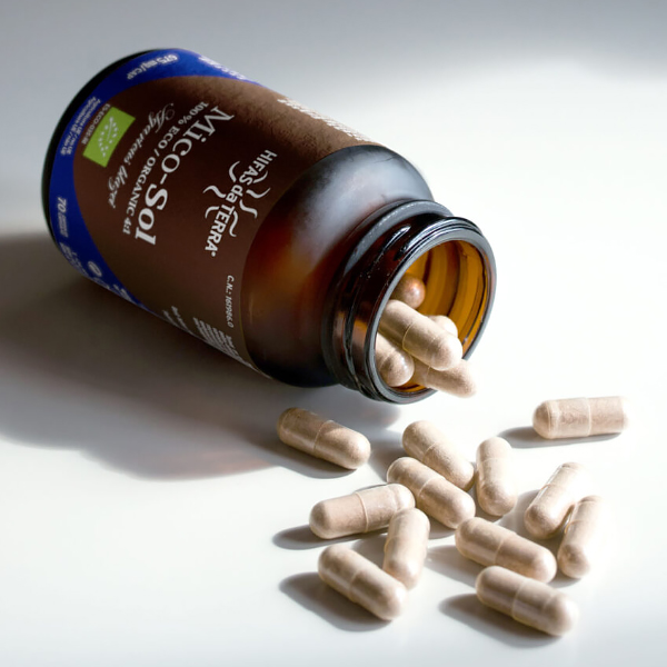 HIFAS DA TERRA MICO-SOL CHAMPIÑON DE SOL (70 CÁPS.VEGETALES)