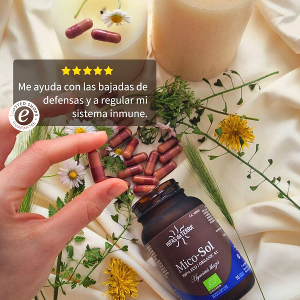 HIFAS DA TERRA MICO-SOL CHAMPIÑON DE SOL (70 CÁPS.VEGETALES)