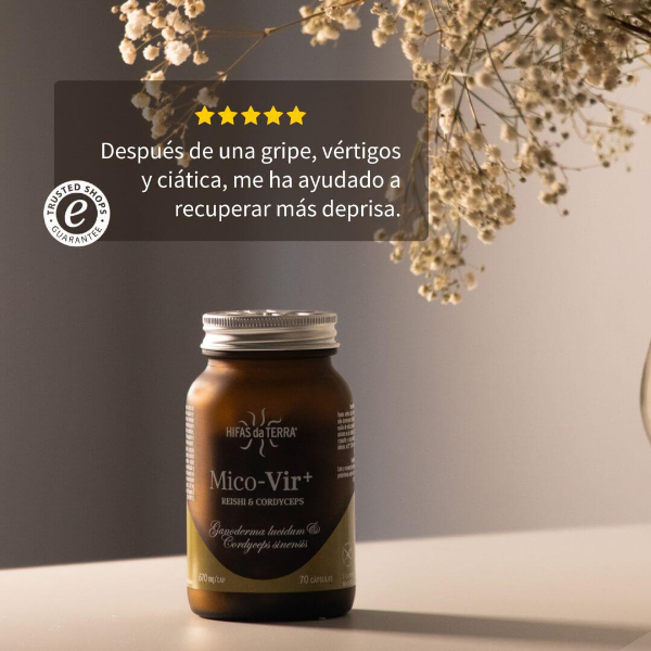 HIFAS DA TERRA MICO-VIR HDT Reishi-Cordyceps (70 CAPS.VEGETALES)