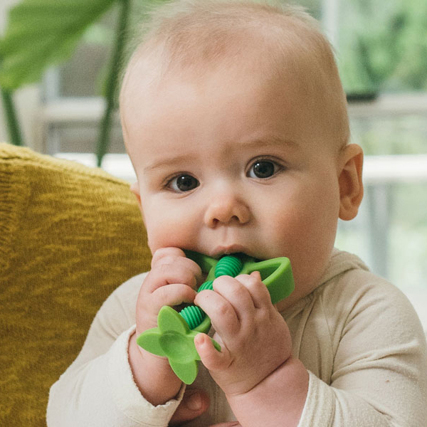 DR. BROWN´S MORDEDOR MASAJEADOR ENCIAS GUISANTE 