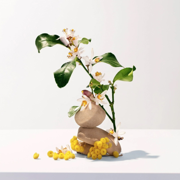 ROGER&GALLET NEROLI GEL DE DUCHA BIENESTAR  (200ML)