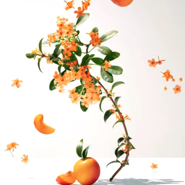 ROGER&GALLET FLEUR D´OSMANTHUS AGUA PERFUMADA BIENESTAR (100ml)