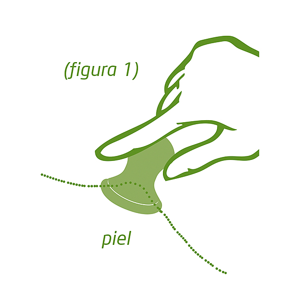 WELEDA PACK ABEDUL ACEITE ANTICELULITICO (2 UNIDADES x 100ml) + CELULI CUP  REGALO!