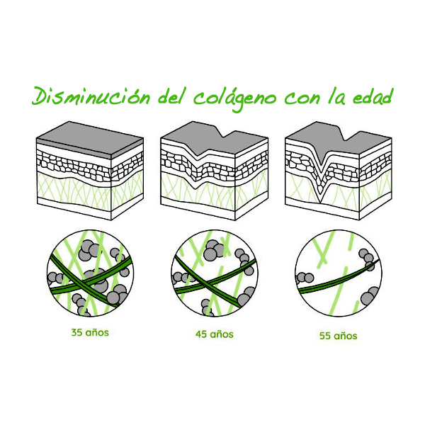 VITANATUR PACK COLLAGEN INTENSIVE NUTRICIÓN ARTICULAR SABOR CÍTRICO (2 BOTES x 360g)