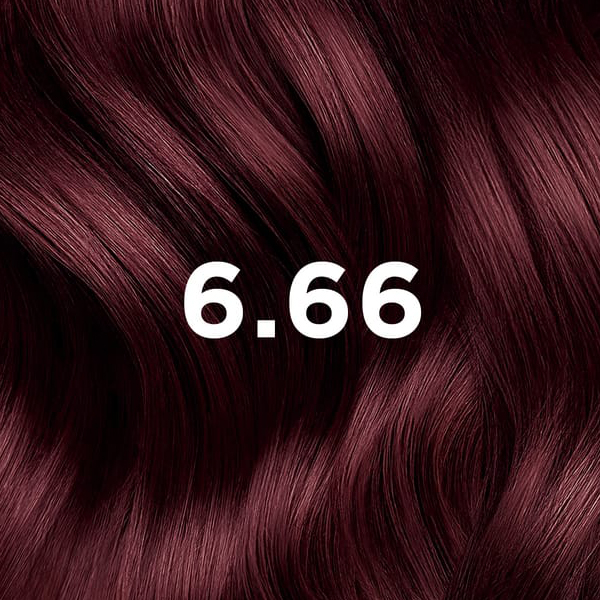 PHYTO PHYTOCOLOR 6.66 KIT COLORACIÓN  CASTAÑO CLARO CEREZA INTENSO