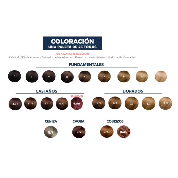 PHYTO PHYTOCOLOR 6.66 KIT COLORACIÓN  CASTAÑO CLARO CEREZA INTENSO