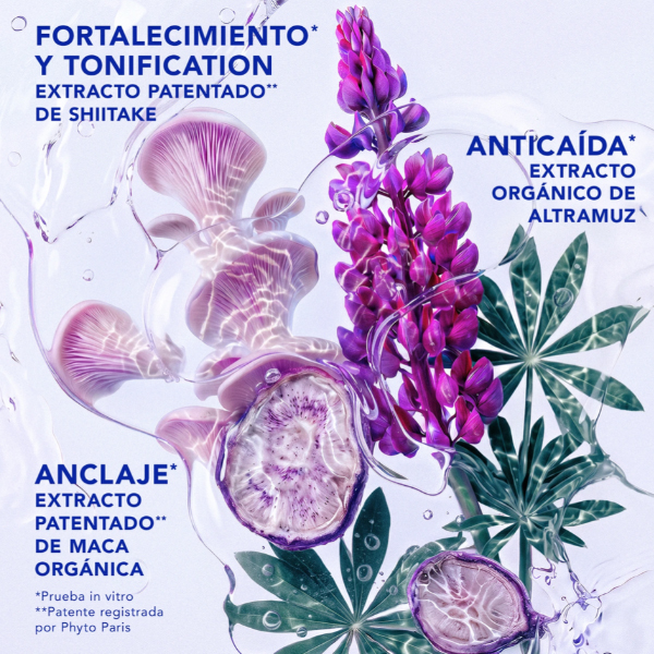PHYTO PHYTOCYANE CHAMPÚ ANTICAÍDA HOMBRE (500ML)