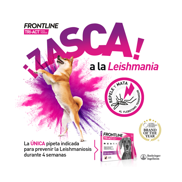 FRONTLINE TRI-ACT PIPETA ANTIPARASITARIA PERROS 2-5KG (3 UNIDADES)