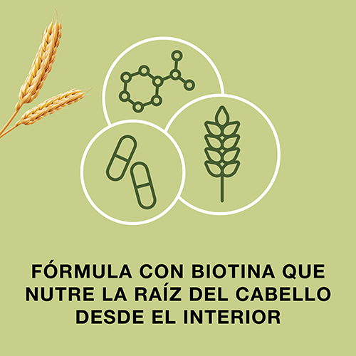 BAYER Priorin® Cápsulas (60caps)