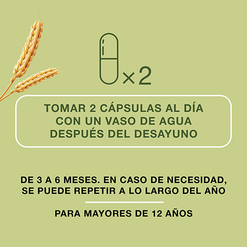 BAYER Priorin® Cápsulas (60caps)