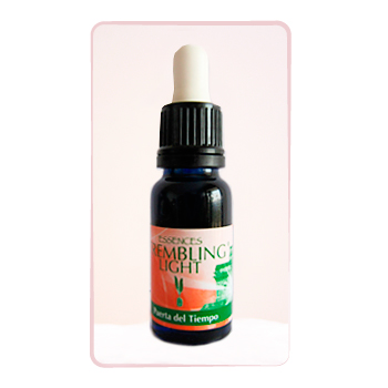 PUERTA DEL TIEMPO (15ml)