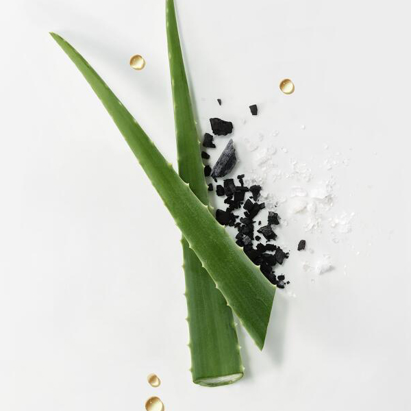 RENÉ FURTERER EXFOLIANTE PURIFICANTE DETOX (150ML)