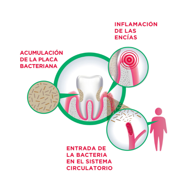 GUM SOFT PICKS COMFORT FLEX SMALL (40 UNIDADES)