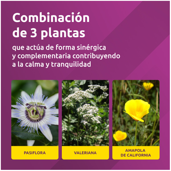 BAYER SUPRADYN RELAX -ANTES SERENIA (60 CÁPSULAS) 