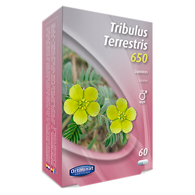TRIBULUS (60caps) 