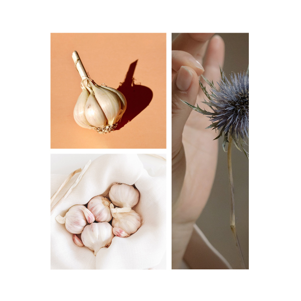 VITAE VITARLIC CLEANSE (ANTES Kyolic 105) (90caps)