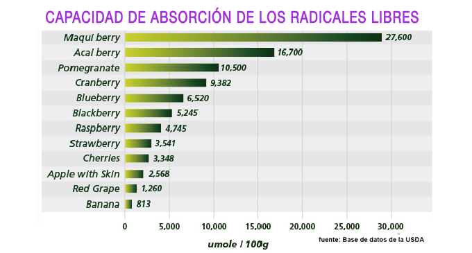 maqui, el antioxidante más potente