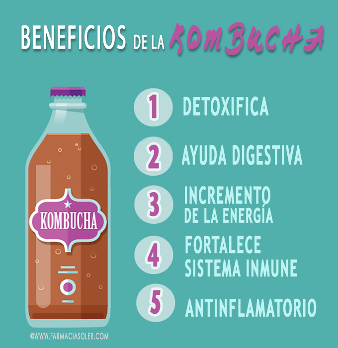 kombucha